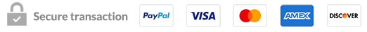 secure lock and payment icons