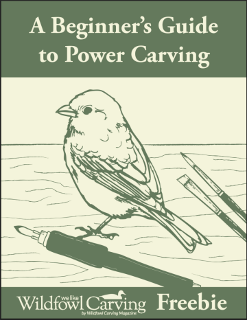 Beginner's Guide to Power Carving Cover