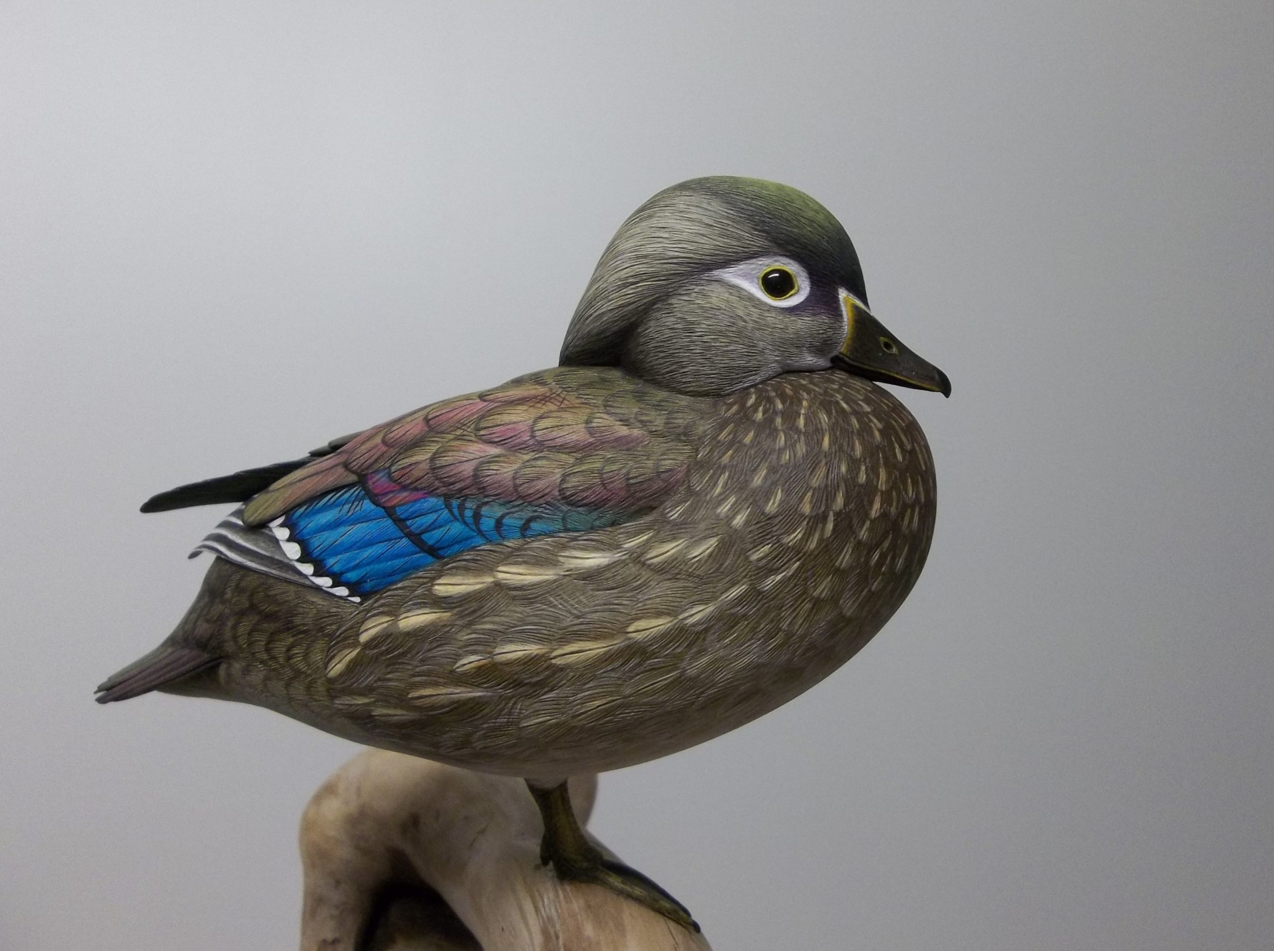 We Like Wildfowl Carving Collections